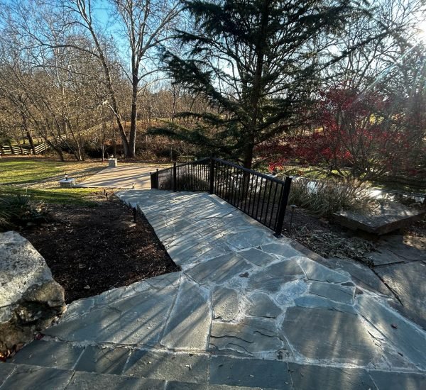 WhatsApp Image 2025-06-17 at 9.09.13 AM (2)